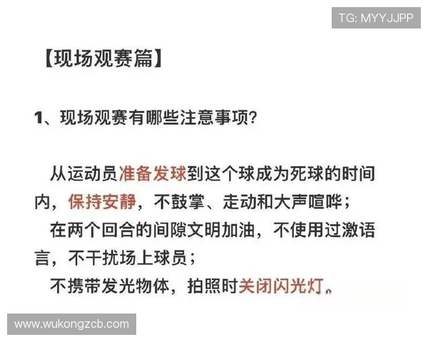 死球状态规则拆解：哪些情况判定为比赛暂停？